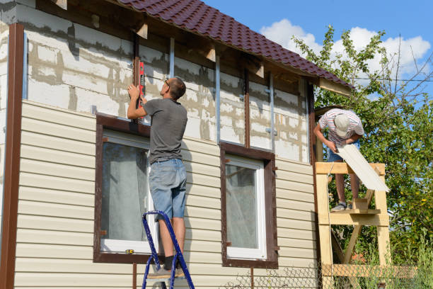 Best Custom Trim and Detailing for Siding  in Dublin, OH